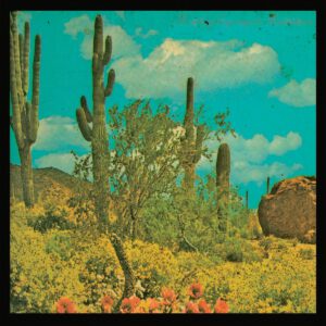Puta Madre Brothers ‎– It's A Long Way To Meximotown (CD)
